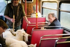 Cineclube Da Fcja Encerra Programação De 2023 Com O Filme O último ônibus